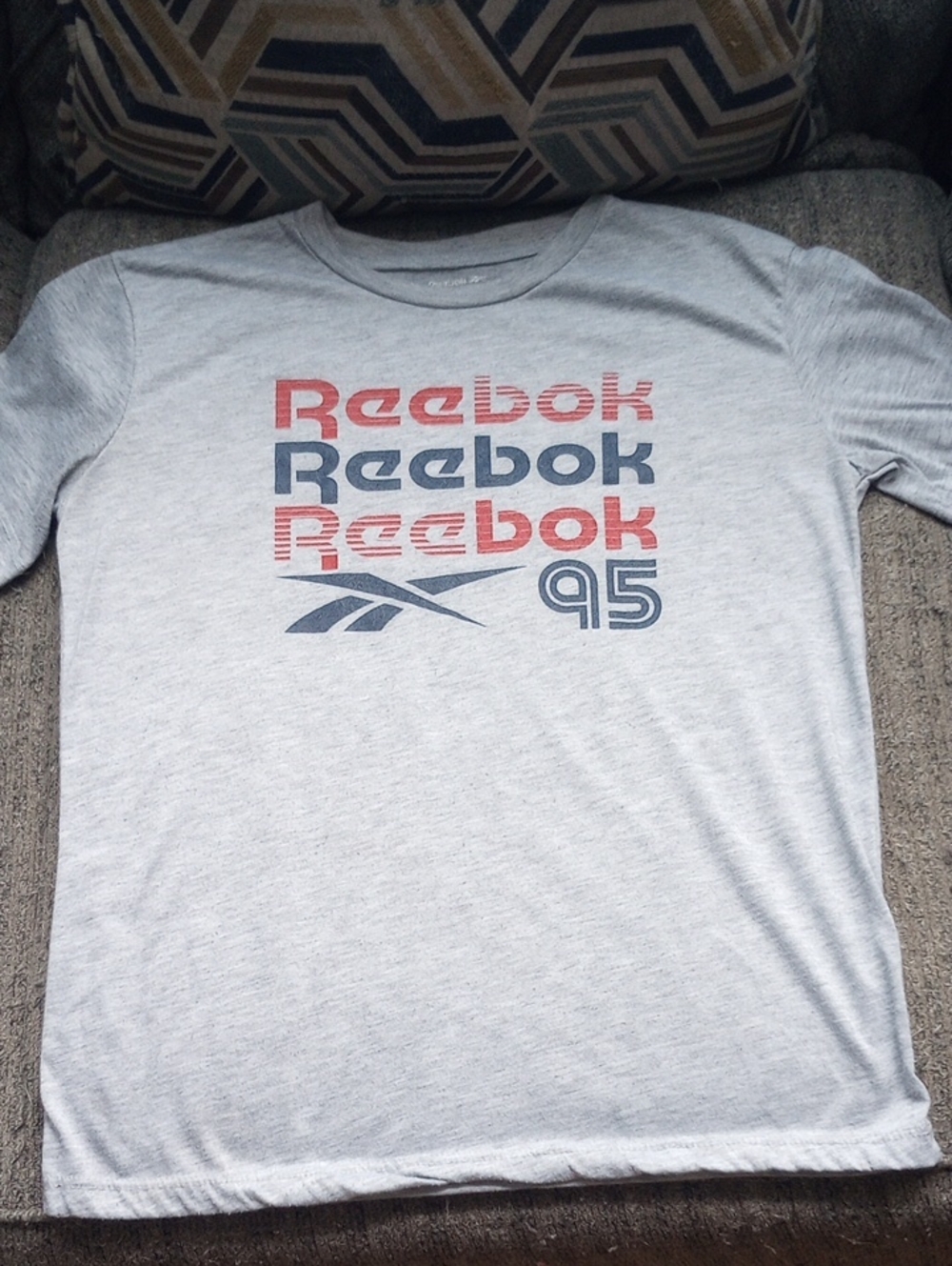 Reebok Boys Light Gray Graphic Tee with Red & Navy Logo